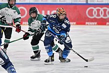 Eishockey, Frauen, European Womens Hockey League, Saison 2024-2025, ERC Ingolstadt - Lakers Kärnten, 13.09.2024