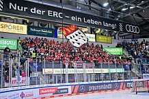 Eishockey, Herren, DEL, Saison 2024-2025, Playoffs Halbfinale, Spiel 5, ERC Ingolstadt - Kölner Haie, 11.04.2025
