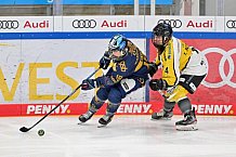 Eishockey, Frauen, DFEL, Saison 2022-2023, ERC Ingolstadt - Mad Dogs Mannheim, 20.11.2022