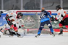 Eishockey, Frauen, DFEL, Saison 2024-2025, ERC Ingolstadt - EC Bergkamener Bären, 04.01.2025