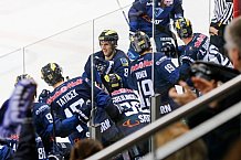 ERC Ingolstadt - Koelner Haie, Eishockey, DEL, Deutsche Eishockey Liga, Spieltag 44, 07.02.2016