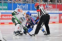 Eishockey, Herren, DEL, Saison 2023-2024, Spieltag 35, ERC Ingolstadt - Augsburger Panther, 05.01.2024