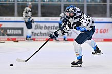 Eishockey, Herren, DEL, Saison 2024-2025, Vorbereitung, ERC Ingolstadt - Dresdner Eislöwen, 18.08.2024