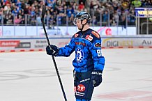 Eishockey, Herren, DEL, Saison 2025-2026, Spiel 16, ERC Ingolstadt - Kölner Haie, 31.10.2025