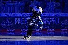 Eishockey, Herren, DEL, Saison 2022-2023, Spieltag 56, ERC Ingolstadt - Fischtown Pinguins Bremerhaven, 24.02.2023