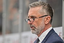 Eishockey, Herren, DEL, Saison 2024-2025, Spieltag 35, ERC Ingolstadt - Augsburger Panther, 10.01.2025
