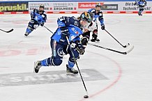 Eishockey, Frauen, DFEL, Saison 2023-2024, ERC Ingolstadt - EC Bergkamener Bären, 28.10.2023
