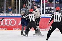 Eishockey, Herren, DEL, Saison 2023-2024, Spieltag 36, ERC Ingolstadt - Kölner Haie, 07.01.2024