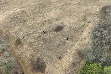 Eishockey, Herren, DEL, Saison 2023-2024, ERC Ingolstadt - Baumpflanzaktion, 03.03.2024