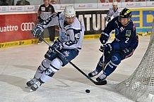ERC Ingolstadt vs Hamburg Freezers, Eishockey, DEL, Deutsche Eishockey Liga, 10.01.2016