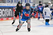 Eishockey, Herren, DEL, Saison 2024-2025, ERC Ingolstadt - Kids On Ice Day, 11.01.2025