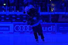 Eishockey, Herren, DEL, Saison 2024-2025, Spieltag 2, ERC Ingolstadt - Straubing Tigers, 22.09.2024
