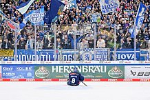 Eishockey, Herren, DEL, Saison 2024-2025, Spieltag 19, ERC Ingolstadt - Grizzlys Wolfsburg, 24.11.2024