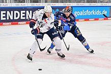 Eishockey, Herren, DEL, Saison 2023-2024, Spieltag 20, ERC Ingolstadt - Adler Mannheim, 19.11.2023