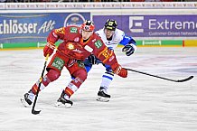 Duesseldorfer EG vs ERC Ingolstadt, Eishockey, DEL, Deutsche Eishockey Liga, Spieltag 47, 17.02.2019