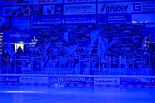 Eishockey, Herren, DEL, Saison 2023-2024, Spieltag 40, ERC Ingolstadt - Schwenninger Wild Wings, 21.01.2024