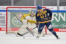 Eishockey, Frauen, DFEL, Saison 2022-2023, ERC Ingolstadt - Mad Dogs Mannheim, 19.11.2022