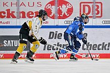 Eishockey, Frauen, DFEL, Saison 2023-2024, ERC Ingolstadt - Mad Dogs Mannheim, 18.02.2024