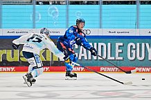 Eishockey, Herren, DEL, Saison 2025-2026, Spiel 23, ERC Ingolstadt - Dresdner Eislöwen, 28.11.2025