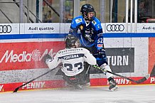 Eishockey, Herren, U20 DNL, Saison 2025-2026, ERC Ingolstadt - ESC Dresden, 14.02.2026