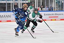Eishockey, Frauen, European Womens Hockey League, Saison 2024-2025, ERC Ingolstadt - Lakers Kärnten, 13.09.2024