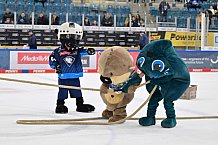 Eishockey, Herren, DEL, Saison 2024-2025, Spieltag 26, ERC Ingolstadt - Iserlohn Roosters, 15.12.2024