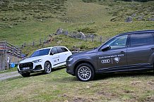 Eishockey, Herren, DEL, Saison 2023-2024, Vinschgau Cup, ERC Ingolstadt – Audi Almerlebnis, 26.08.2023