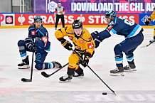 Hockey, Mens, CHL, Season 2025-2026, Regular Season, Game Day 2, ERC Ingolstadt - Kalpa Kuopio, 30.08.2025