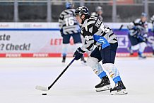 Eishockey, Herren, DEL, Saison 2024-2025, Vorbereitung, ERC Ingolstadt - Dresdner Eislöwen, 18.08.2024