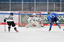 Eishockey, Frauen, DFEL, Saison 2023-2024, ERC Ingolstadt - Amsterdam Tigers, 06.01.2024