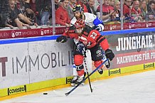 Koelner Haie vs ERC Ingolstadt, DEL, Deutsche Eishockey Liga, Playoffs, Viertelfinale, Spiel 7, 31.03.2019