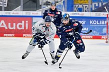 Eishockey, Herren, DEL, Saison 2024-2025, Spieltag 49, ERC Ingolstadt - Straubing Tigers, 28.02.2025