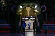 Eishockey, Herren, DEL, Saison 2025-2026, Spiel 16, ERC Ingolstadt - Kölner Haie, 31.10.2025