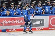 Eishockey, Frauen, DFEL, Saison 2023-2024, ERC Ingolstadt - ESC Planegg-Würmtal, 26.11.2023