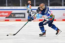 Eishockey, Frauen, DFEL, Saison 2024-2025, ERC Ingolstadt - EC Bergkamener Bären, 12.10.2024