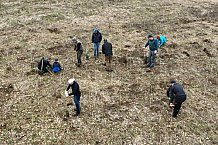 Eishockey, Herren, DEL, Saison 2023-2024, ERC Ingolstadt - Baumpflanzaktion, 03.03.2024