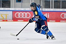 Eishockey, U20, DNL, Saison 2024-2025, ERC Ingolstadt - Krefelder EV 81, 01.03.2025