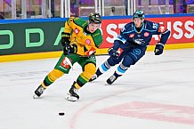 Hockey, Mens, CHL, Season 2025-2026, Regular Season, Game Day 1, ERC Ingolstadt - Ilves Tampere, 28.08.2025