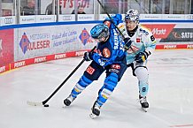Eishockey, Herren, DEL, Saison 2025-2026, Spiel 23, ERC Ingolstadt - Dresdner Eislöwen, 28.11.2025