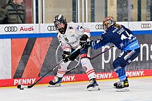 Eishockey, Frauen, DFEL, Saison 2024-2025, ERC Ingolstadt - ECDC Memmingen Indians, 16.11.2024