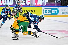 Hockey, Mens, CHL, Season 2025-2026, Regular Season, Game Day 1, ERC Ingolstadt - Ilves Tampere, 28.08.2025