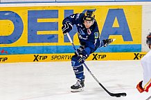ERC Ingolstadt - Duesseldorfer EG, Eishockey, DEL, Deutsche Eishockey Liga, Spieltag 24, 06.12.2015