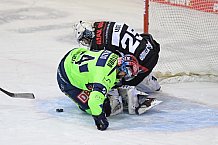 Eishockey, Herren, DEL, Saison 2020-2021, Straubing Tigers - ERC Ingolstadt, 31.01.2021