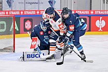 Eishockey, Mens, CHL, Season 2023-2024, ERC Ingolstadt - Växjö Lakers, 14.11.2023