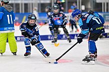 Eishockey, Saison 2025-2026, ERC Ingolstadt - Kids On Ice Day, 29.11.2025
