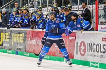 ERC Ingolstadt vs Fischtown Pinguins, Eishockey, DEL, Deutsche Eishockey Liga, Spieltag 34, 19.01.2018