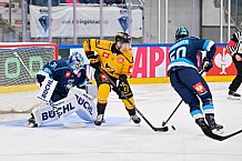 Hockey, Mens, CHL, Season 2025-2026, Regular Season, Game Day 2, ERC Ingolstadt - Kalpa Kuopio, 30.08.2025
