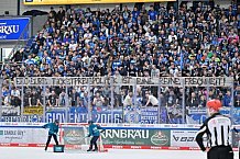 Eishockey, Herren, DEL, Saison 2023-2024, Playoffs Viertelfinale - Spiel 4, ERC Ingolstadt - Fischtown Pinguins , 24.03.2024
