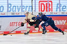 Eishockey, Herren, DEL, Saison 2024-2025, Playoffs Viertelfinale, Spiel 5, ERC Ingolstadt - Nürnberg Ice Tigers, 26.03.2025