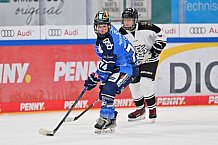 Eishockey, Frauen, DFEL, Saison 2023-2024, ERC Ingolstadt - Amsterdam Tigers, 06.01.2024